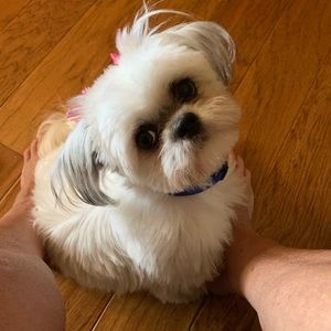 Meet your Posher, Jere